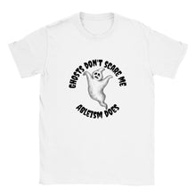 Load image into Gallery viewer, Ghosts Don&#39;t Scare Me Ableism Does -Unisex T-shirt
